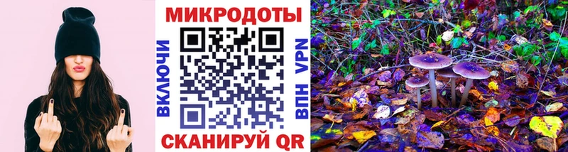 Купить закладки  Пудож  Галлюциногенные грибы Psilocybine cubensis 